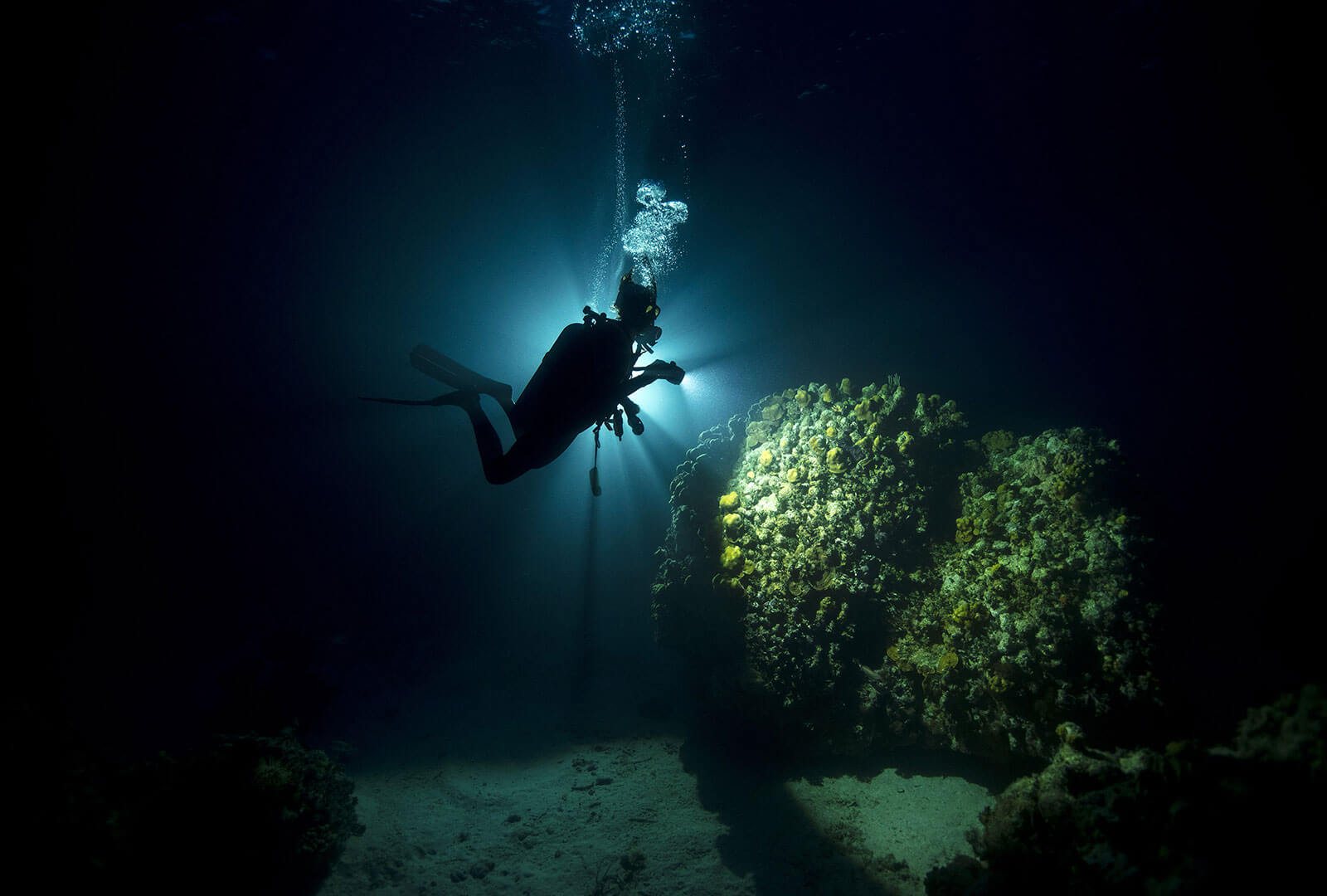 Night Dive