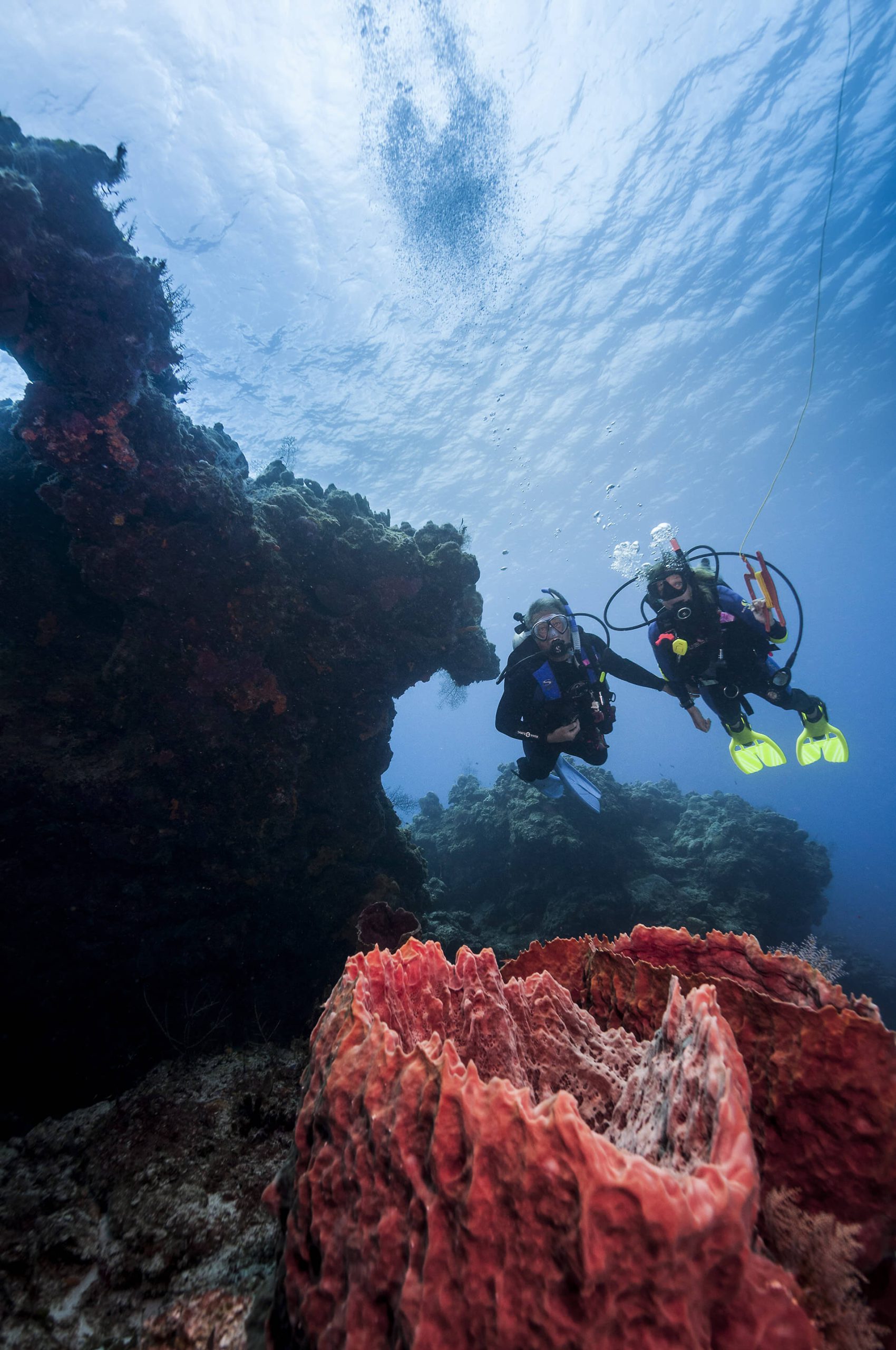 Open Water Certification