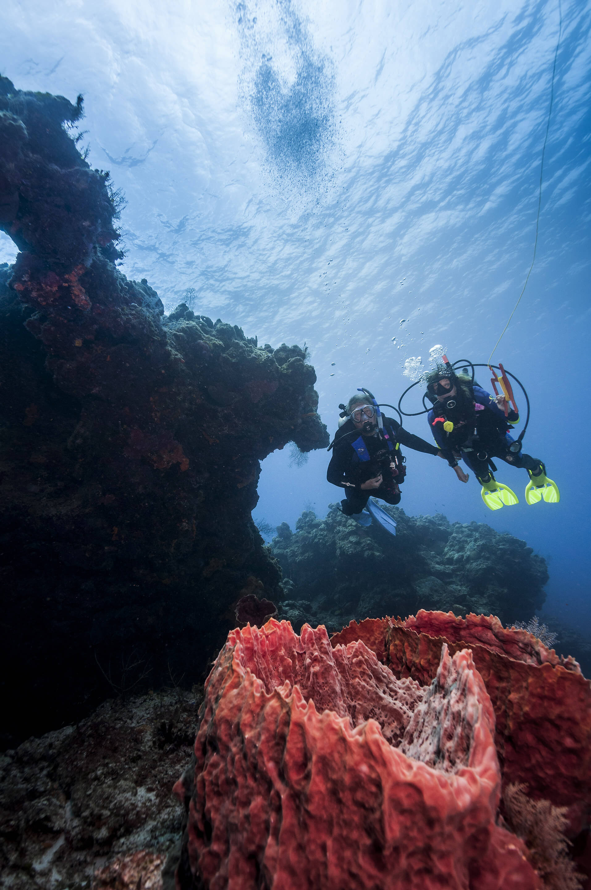 PADI Open Water Diver