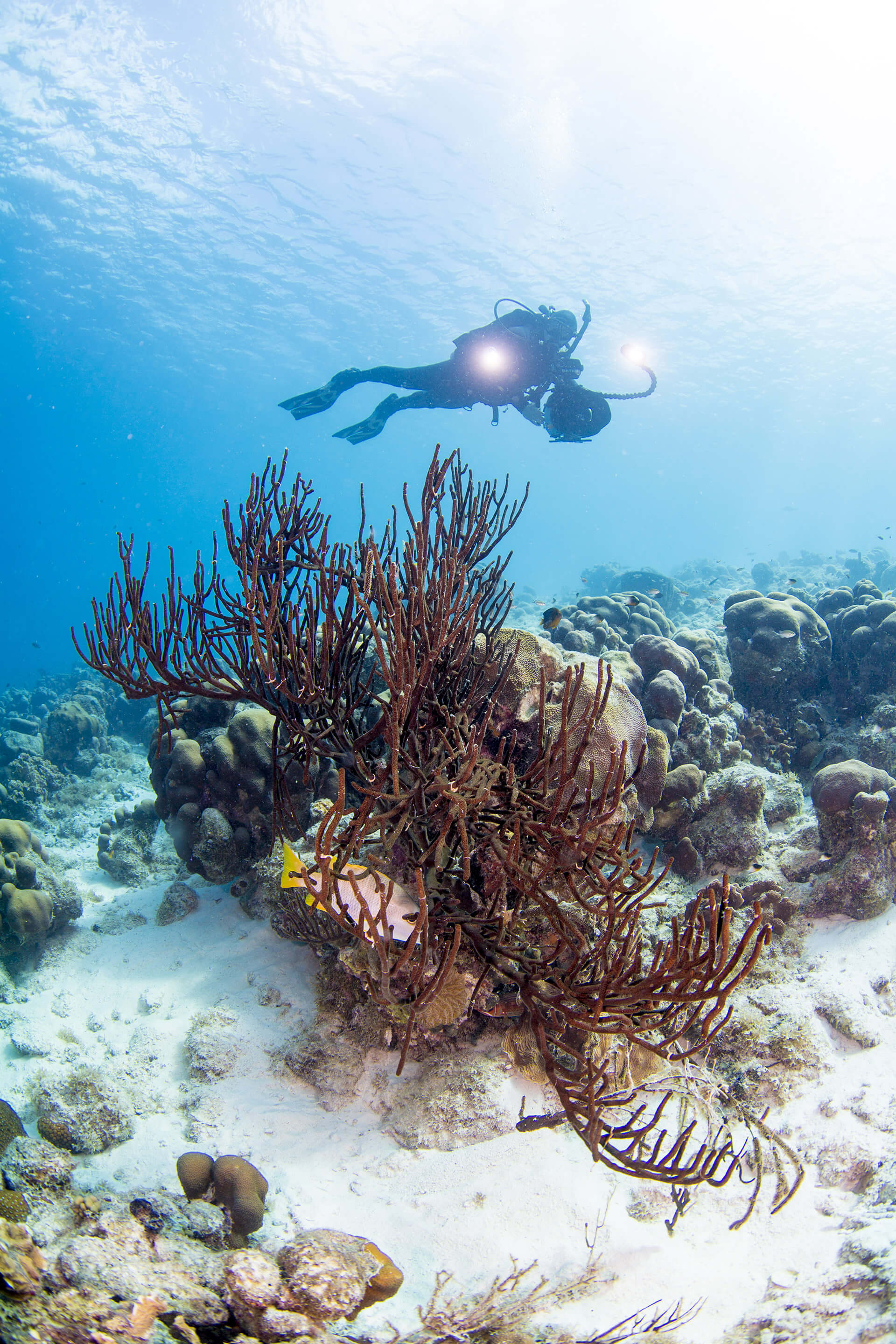 PADI Advanced Open Water