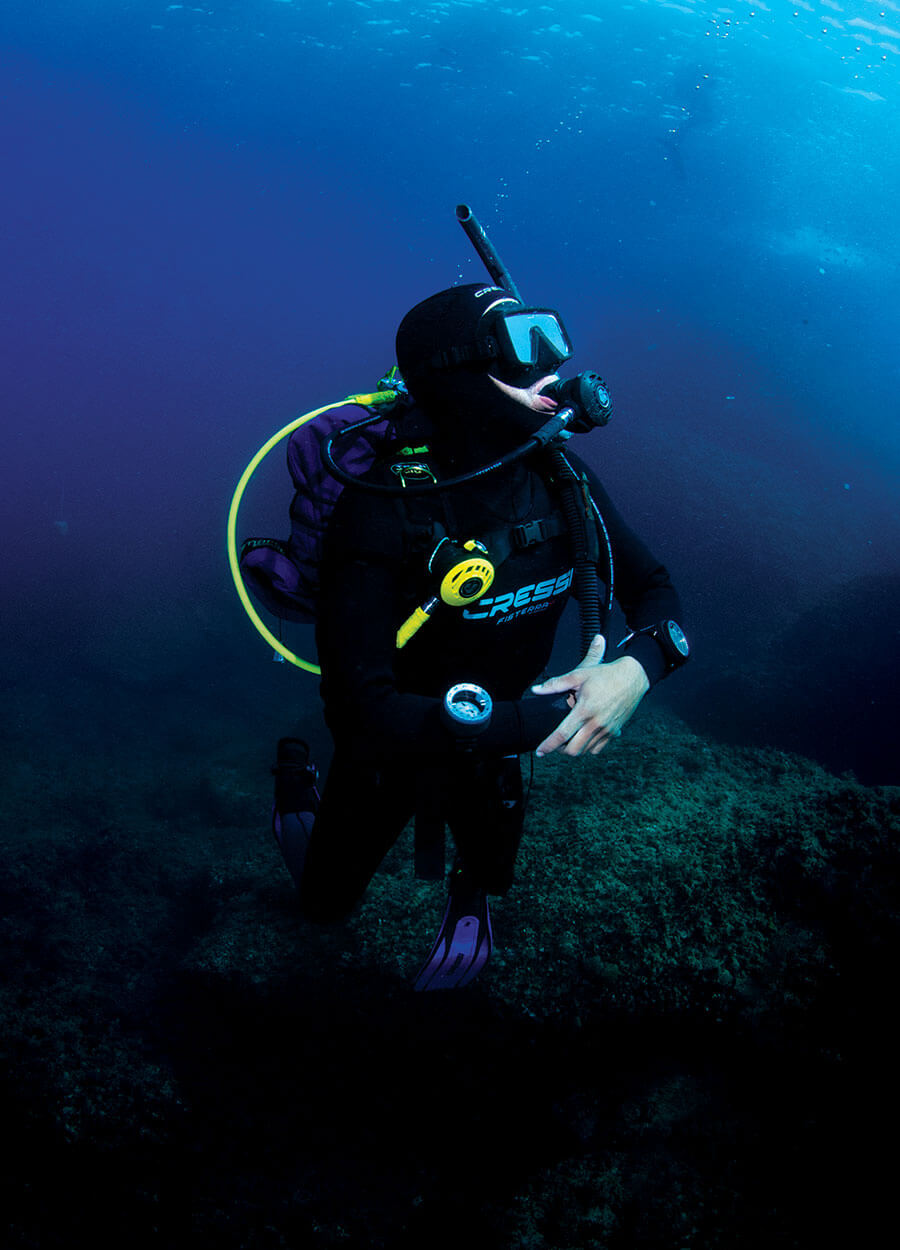 Professional Diving Career
