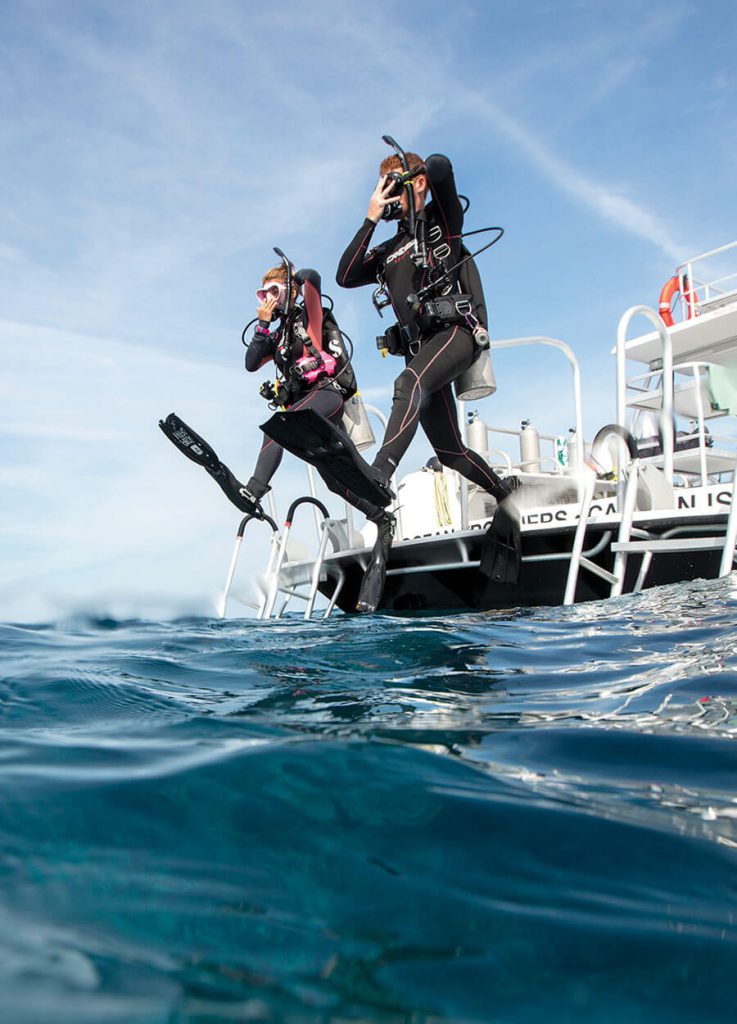 padi-reActivate