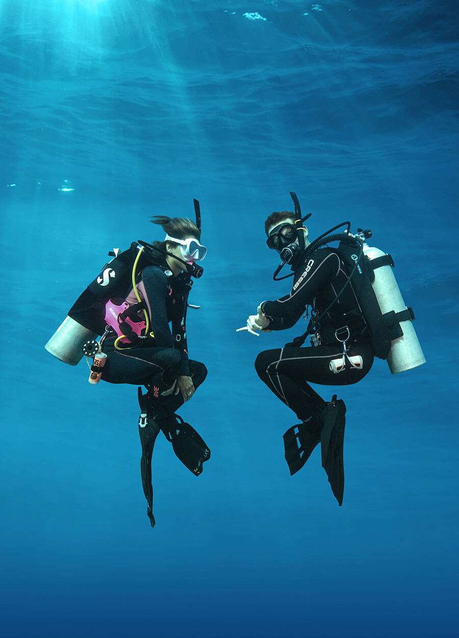 Professional Diving
